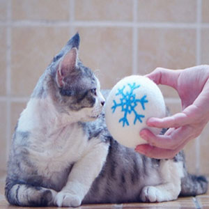 고양이 강아지 장난감공 양모볼