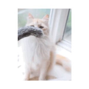 고양이 장난감 막대형 오뎅꼬치 스틱